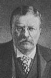 Picture of Theodore Roosevelt